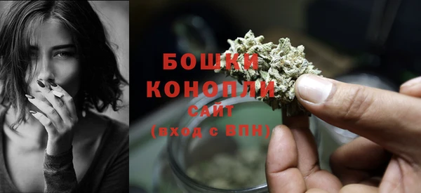 метадон Гусь-Хрустальный
