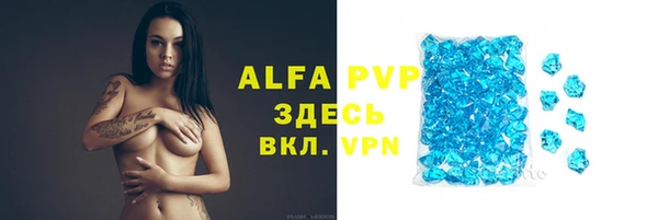 дживик Гусев