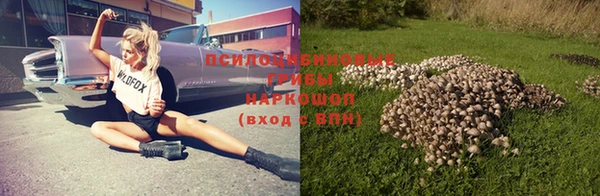 метадон Гусь-Хрустальный
